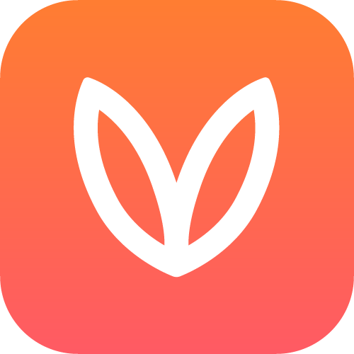 spotifyicon
