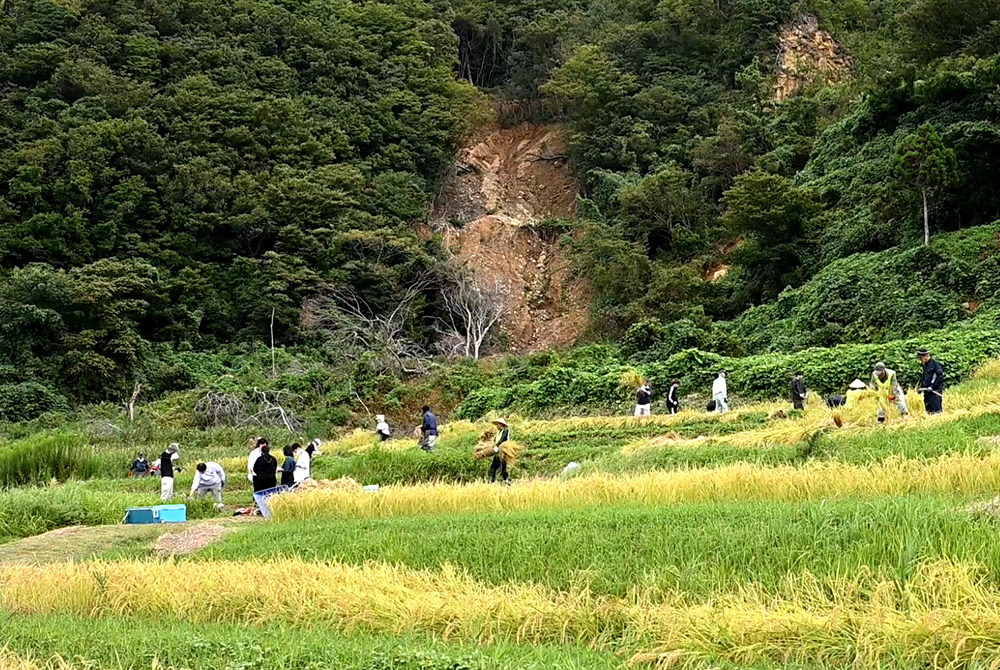土砂崩れした山と「白米千枚田」