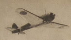 隼