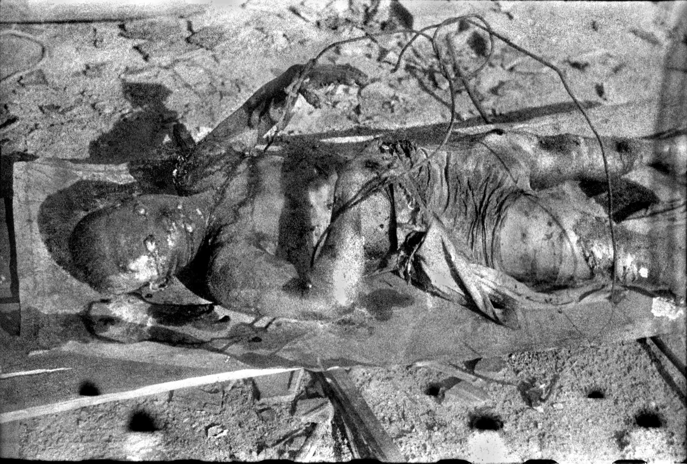 西練兵場付近の被爆死体。下の黒点は現像むら＝1945年8月17日