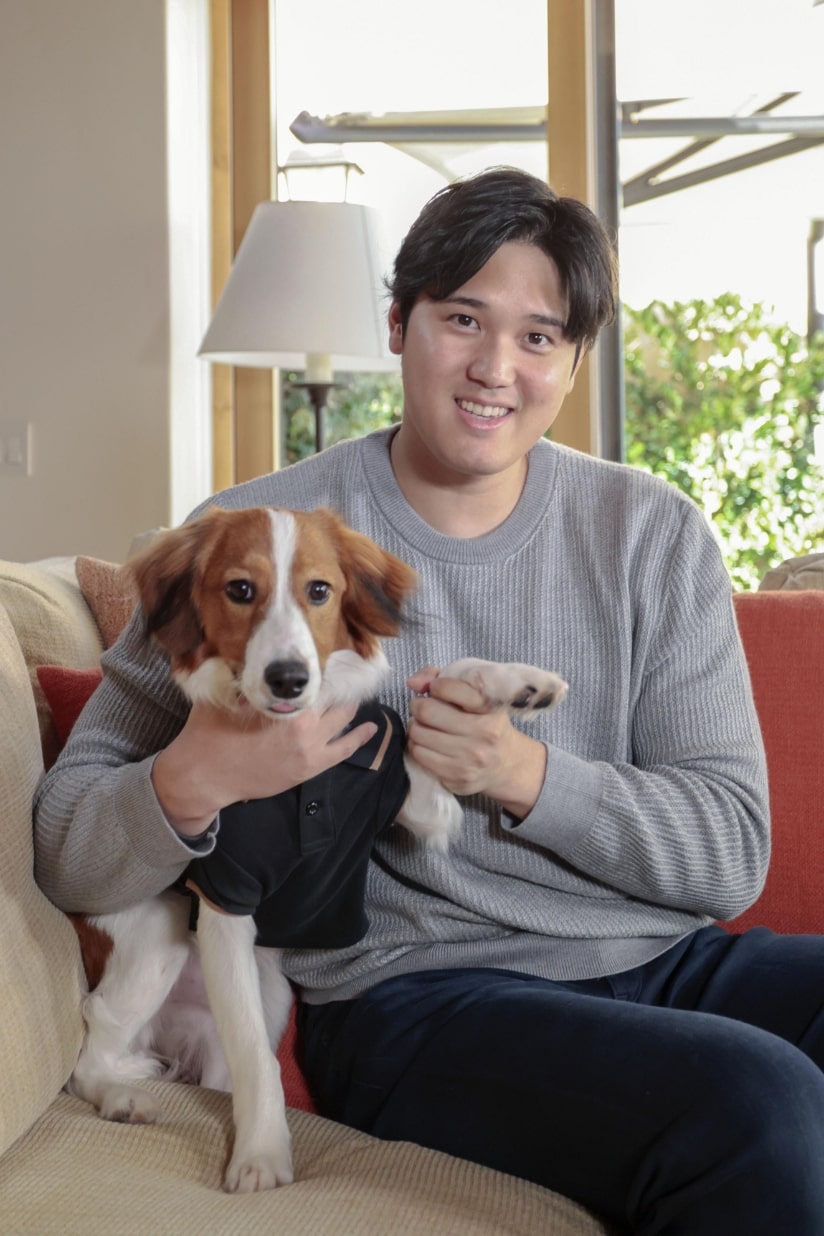 愛犬と大谷翔平